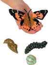 Hand holding butterfly life cycle figurine, with green egg, black caterpillar, and brown chrysalis figurines underneath.