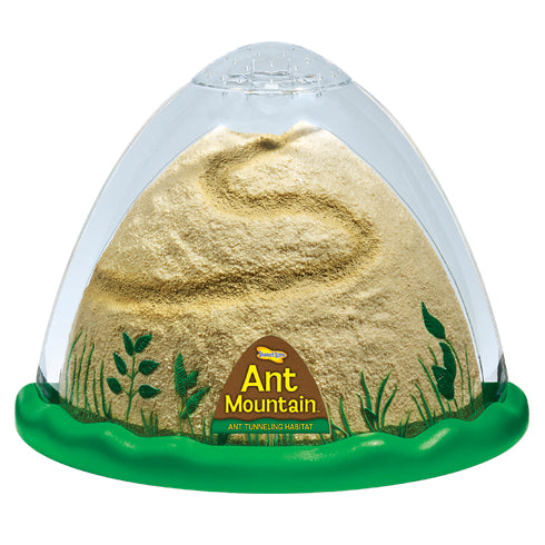 Ant Mountain Ant Mountain