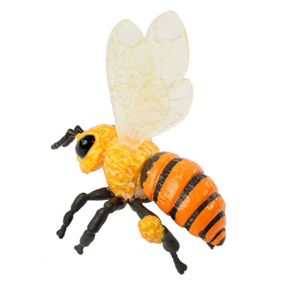 Realistic plastic black-and-yellow honey bee stage of the bee life cycle figurines set.