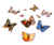 7 shimmering blue, orange, pink and brown 3D butterfly stickers.