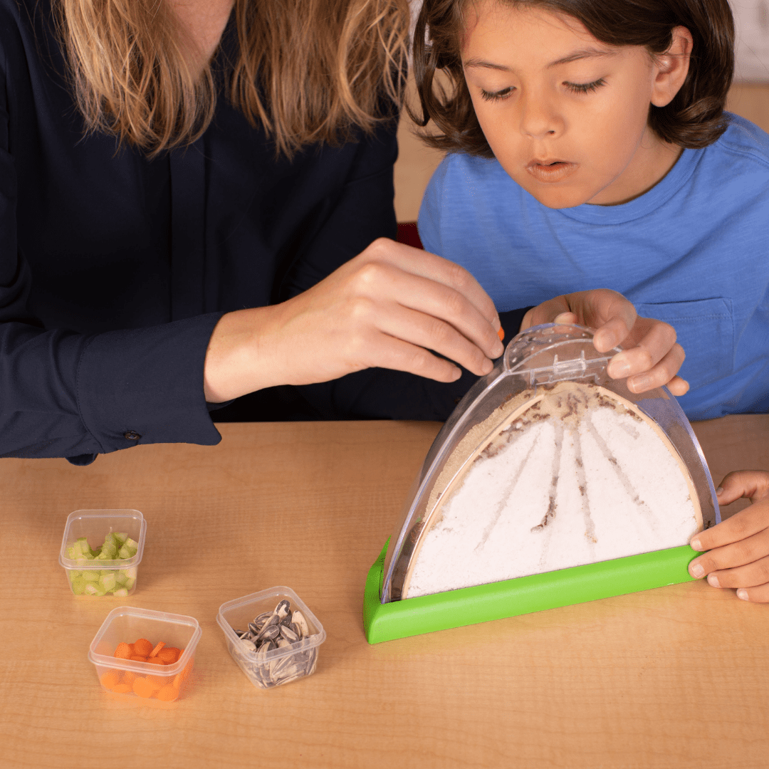 Adult and child placing food into Ant Mountain ant habitat