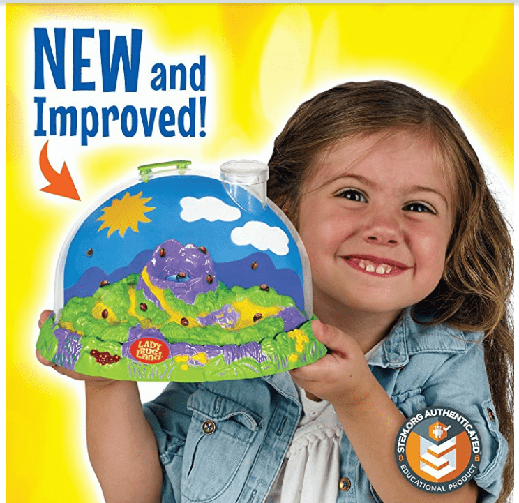 Small Girl holding green, blue, and purple Ladybug Land Habitat