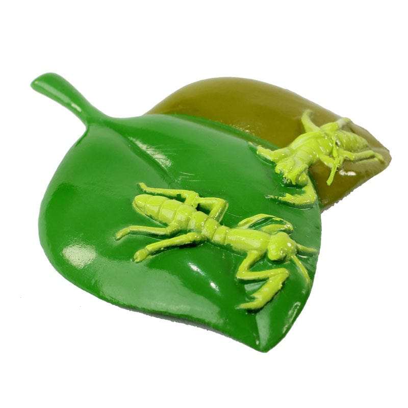 Realistic, plastic, green nymphs stage of the praying mantis life cycle stages on a green leaf.