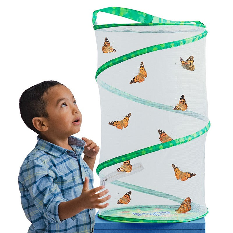 Butterfly Pavilion® With Voucher | Plan Your Project When Ready - Insect  Lore
